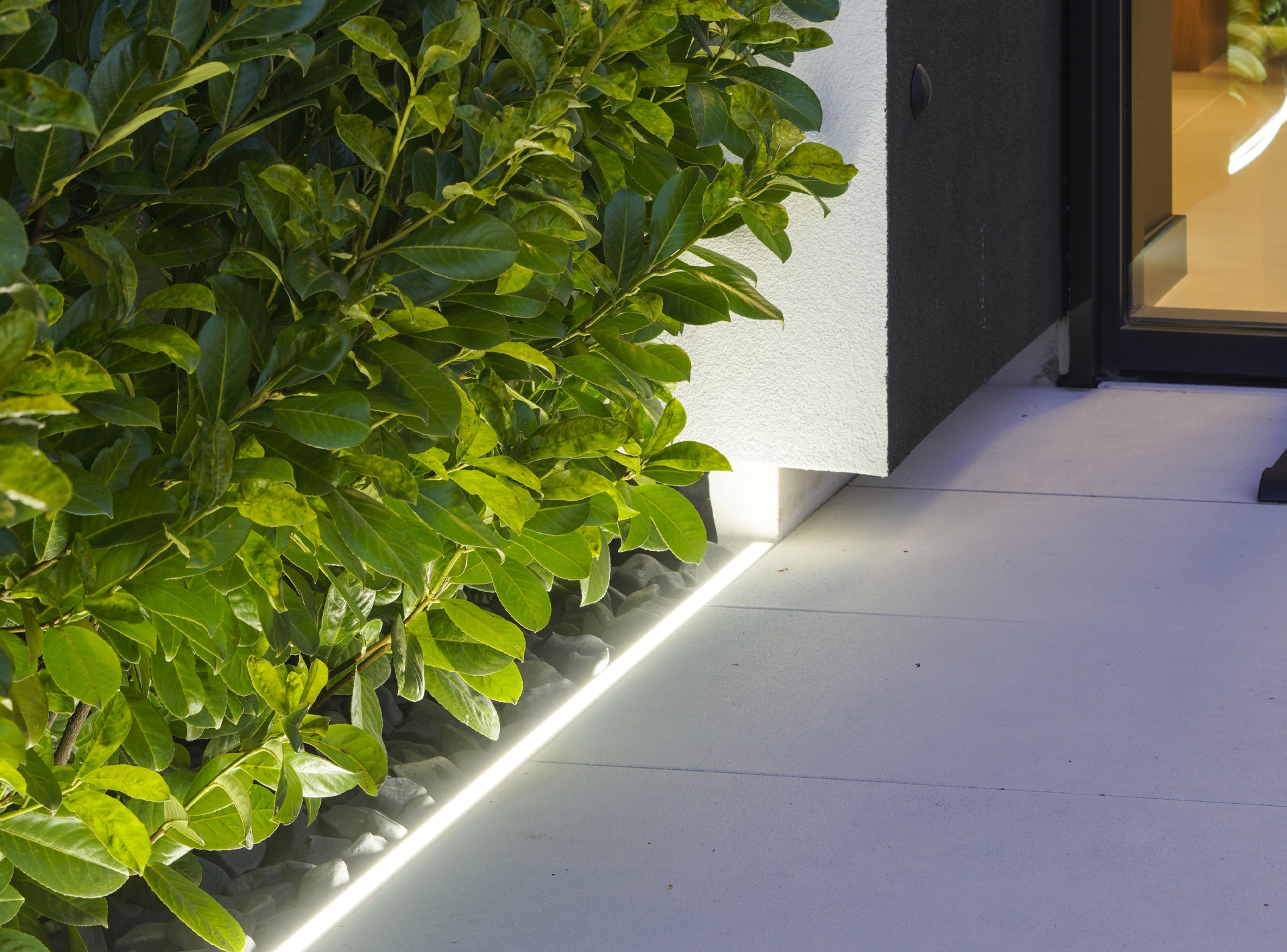 Elektrondt dystrybucja Kluś systemy LED - dom i ogród
